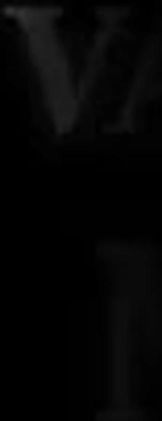 999 Games Robin Hood Bordspel 2 999 Games Robin Hood Bordspel - Afbeelding 2