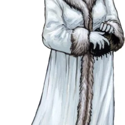 Days Of Wonder Ticket To Ride Nordic Countries - Bordspel - Engelstalig -Spellen-voor-volwassenen Verkoop 402x840