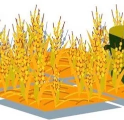 White Goblin Games Machi Koro - Kaartspel -Spellen-voor-volwassenen Verkoop 550x240