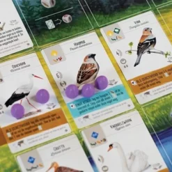 999 Games Wingspan Uitbreiding: Europa Bordspel 14 999 Games Wingspan Uitbreiding: Europa Bordspel -Spellen-voor-volwassenen Verkoop 550x366 167