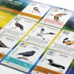 999 Games Wingspan Uitbreiding: Europa Bordspel 16 999 Games Wingspan Uitbreiding: Europa Bordspel -Spellen-voor-volwassenen Verkoop 550x366 169