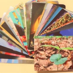 Jonne Baardemans Van Den Broek Foto En Quote Kaartenset - Coachkaarten Of Trainingskaarten - Geschikt Voor Professionals - 40 Unieke Kaarten Enkel En Dubbelzijdig Bruikbaar