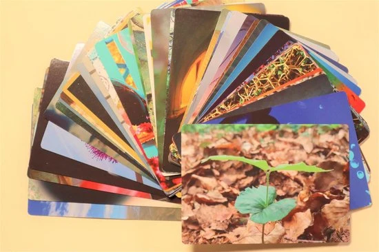 Jonne Baardemans Van Den Broek Foto En Quote Kaartenset - Coachkaarten Of Trainingskaarten - Geschikt Voor Professionals - 40 Unieke Kaarten Enkel En Dubbelzijdig Bruikbaar 1 Jonne Baardemans Van Den Broek Foto En Quote Kaartenset - Coachkaarten Of Trainingskaarten - Geschikt Voor Professionals - 40 Unieke Kaarten Enkel En Dubbelzijdig Bruikbaar