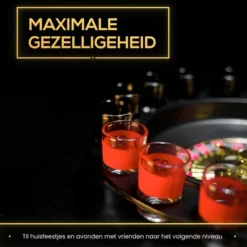2BEHOME Drankspel Roulette - Drank Spelletjes - Drankspel Voor Volwassenen - Drinking Game - Roulette - Drank Roulette - Cadeau Voor Man/vrouw -Spellen-voor-volwassenen Verkoop 550x531 8