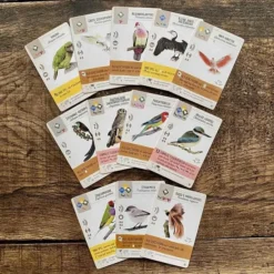 999 Games Wingspan Uitbreiding: Oceani Bordspel -Spellen-voor-volwassenen Verkoop 550x550 214