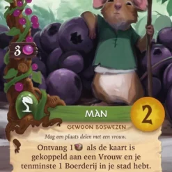 White Goblin Games - Everdell - Bordspel 39 White Goblin Games - Everdell - Bordspel -Spellen-voor-volwassenen Verkoop 550x768 5