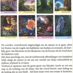 Angela Hartfield Fluisteringen Van De Natuur -Spellen-voor-volwassenen Verkoop 550x801 5