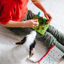 SmartGames - Walk The Dog - Puzzel - 80 Opdrachten - Logica En Ruimtelijk Inzicht -Spellen-voor-volwassenen Verkoop 550x825 13